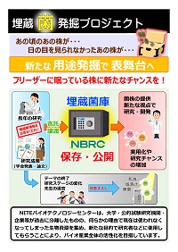 埋蔵菌発掘プロジェクトのパンフレットの表紙