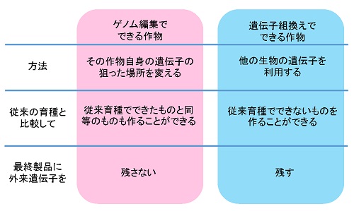 「ゲノム編集」と「遺伝子組換え」との違いをまとめた表