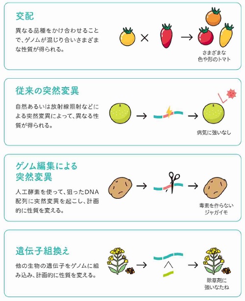 育種技術に関する説明の表