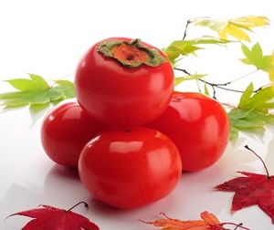 甲子柿の写真