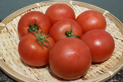 くまもと塩トマトの写真