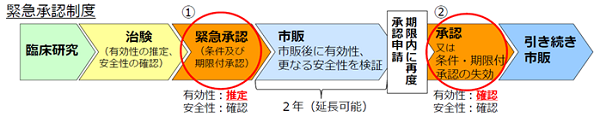 緊急承認制度の流れ