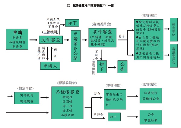 植物品種権申請案審査フロー図