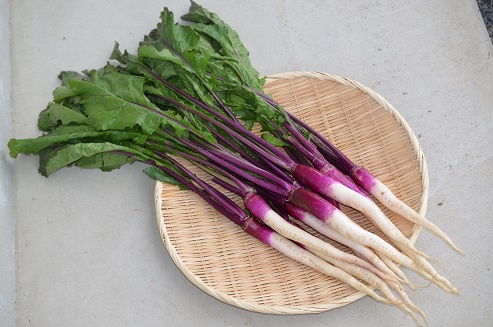 近江日野産日野菜の写真