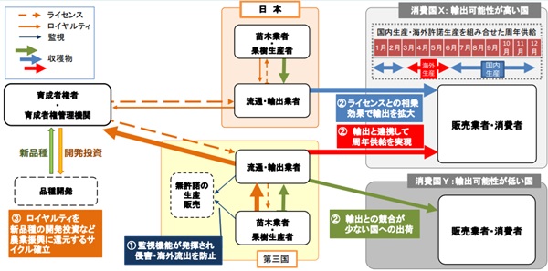 海外ライセンス指針が目指すライセンスのモデル（イメージ）